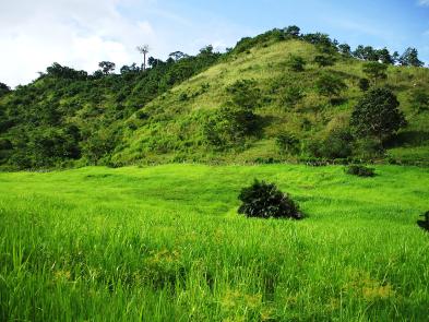 Magnifique terrain agricole à CIUDAD DE PANAMÁ