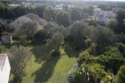 Photo 8 - Panoramic view