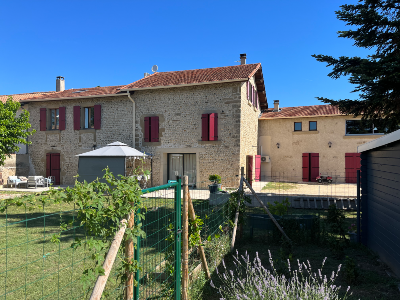 Magnificent estate (12 rooms - 320 sqm) in ROMANS SUR ISERE