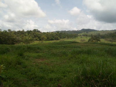 Magnifique terrain à SIQUIRRES, LA ALEGRÍA DE SIQUIRRES, LIMÓN. FINCA LA PERLA